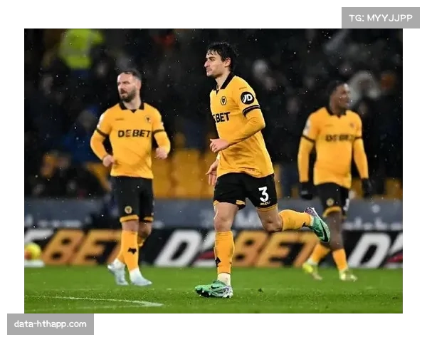 水晶宫0-2不敌狼队，遭遇联赛四连败